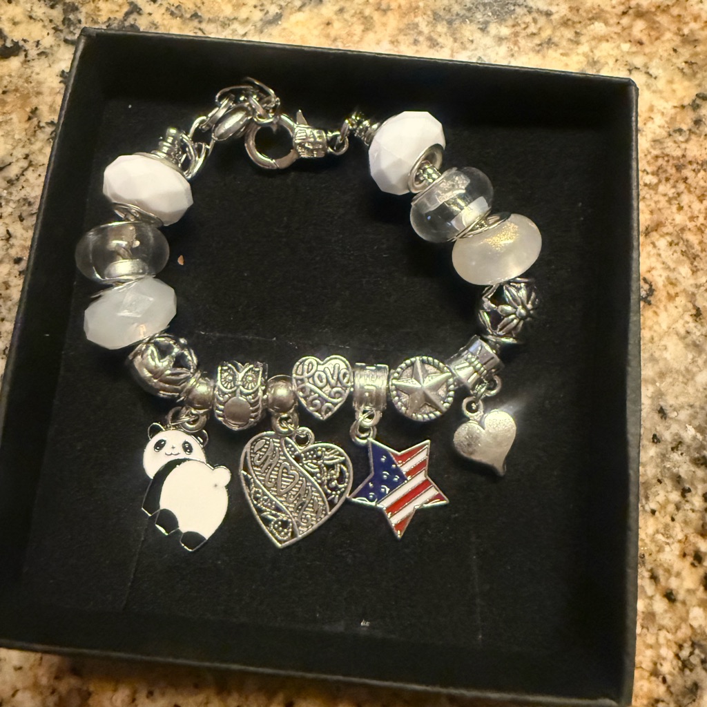 Mothers Day Silver Plated Bracelet With Alloy Silver Charms 25$